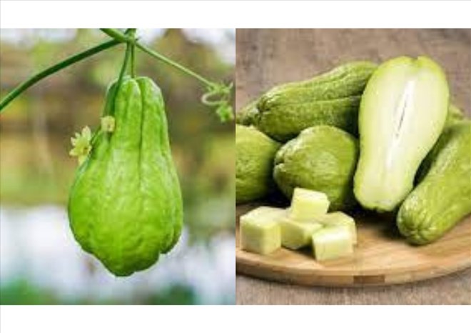 Su Su contains a lot of vitamin C, which helps detoxify uric acid. Graphic photo: Thanh Thanh