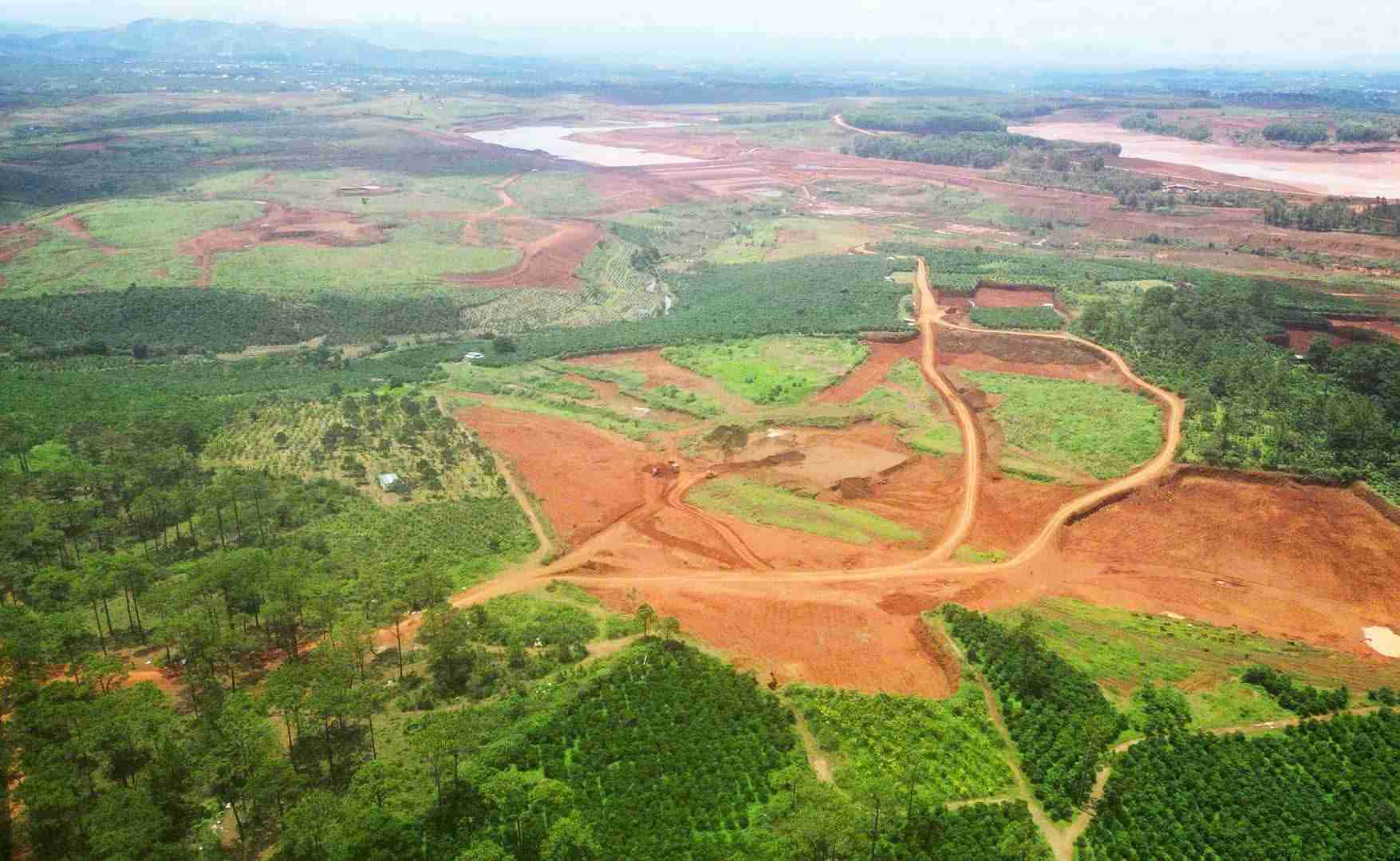 Lam Dong propone sacar 55.000 hectareas de la planificacion fascista. Anh: Phuc Khanh