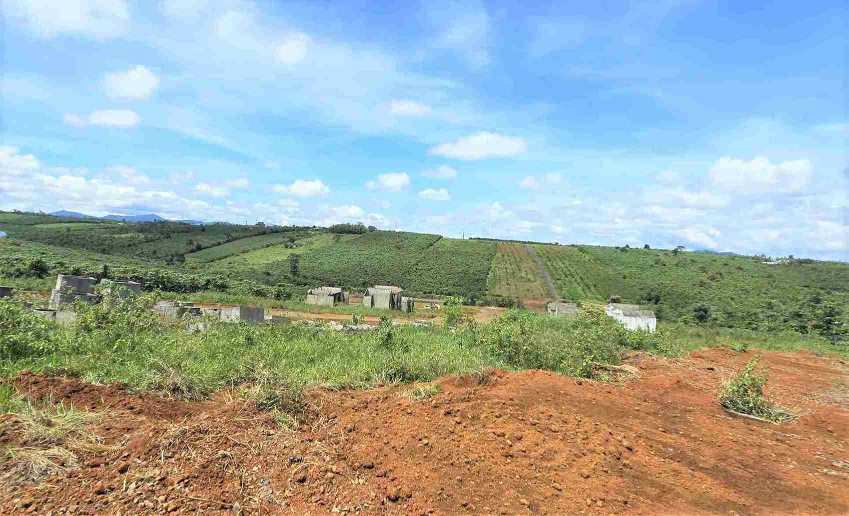 Khu san xuat co cao toc Tan Phu - Bao Loc di qua thuoc Phuong 2 Bao Loc (Lam Dong) bi dinh quy hoach bo xit. Anh: Phuc Khanh