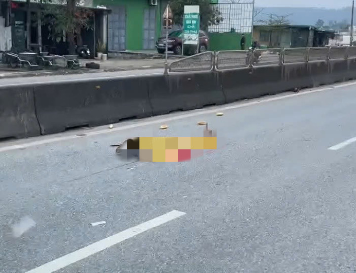 Cụ bà tử vong sau va chạm với xe tải trên Quốc lộ 1A. Ảnh: Thanh Sương