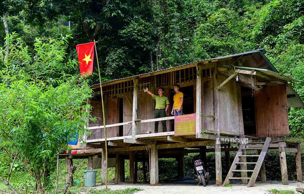 Les habitants unissent leurs forces pour protéger les forêts développer le tourisme écologique sous les arbres apportant des moyens de subsistance durables. Photo : Nguyễn Tùng.