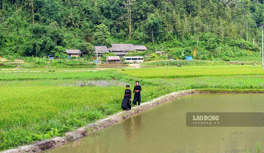 Trai nghiem cac tour sinh thai rung nguyen sinh cung nguoi dan ban dia tai Tuyen Quang mang lai an tuong dac biet cho du khach. Anh: Nguyen Tung.