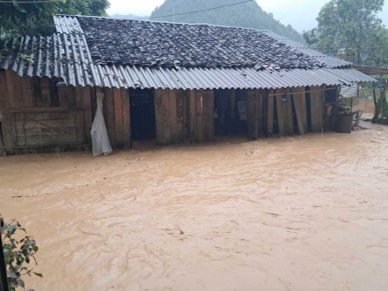 an nha go xieu veo cua chi Hua Thi Am (sinh nam 1994) hien ra trong su lang le va trong trai. Anh: Nhan vat cung cap