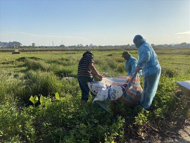 Luc luong chuc nang tieu huy lon mac dich. Anh: Dieu Anh