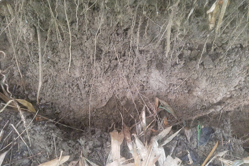 Can canh vet nut phia sau Truong PTDTBT THCS Chieng So. Anh: Thanh Binh