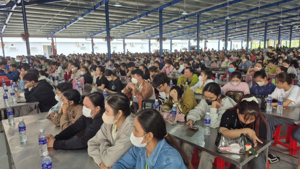 Toan tinh An Giang hien co 116.002 doan vien. Anh: Nguyen Anh