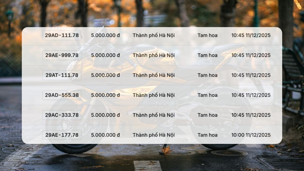 Bien so xe may dep co trong phien dau gia ngay 11.12. Do hoa: Hao Thien