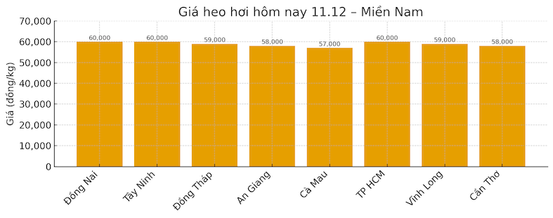 Gia heo hoi hom nay 11.12 tai khu vuc mien Trung. Do hoa: Thuy Linh