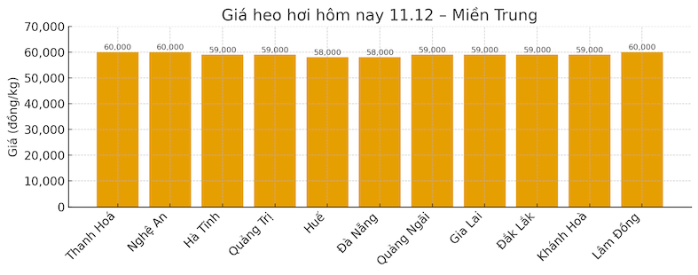 Gia heo hoi hom nay 11.12 tai khu vuc mien Bac. Do hoa: Thuy Linh
