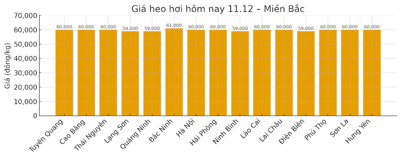 Gia heo hoi hom nay 6.12 tai khu vuc mien Bac. Do hoa: Thuy Linh