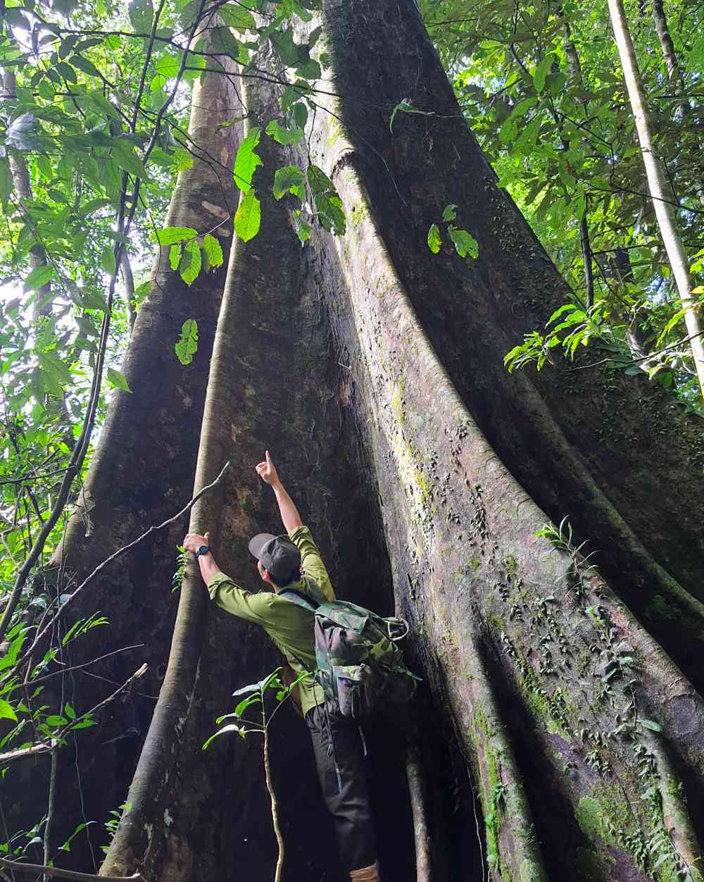 현장 조사를 통해 해당 연구팀은 14종의 새로운 종을 발견하고 발표했다. 사진: 바오단.