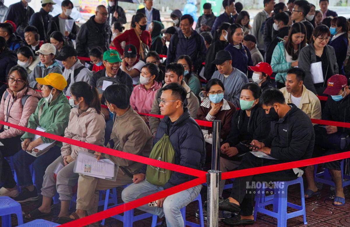 Hang tram nguoi dan xep hang cho nop ho so tai du an nha o xa hoi CT3 Kim Chung. Anh: Nhu Ha