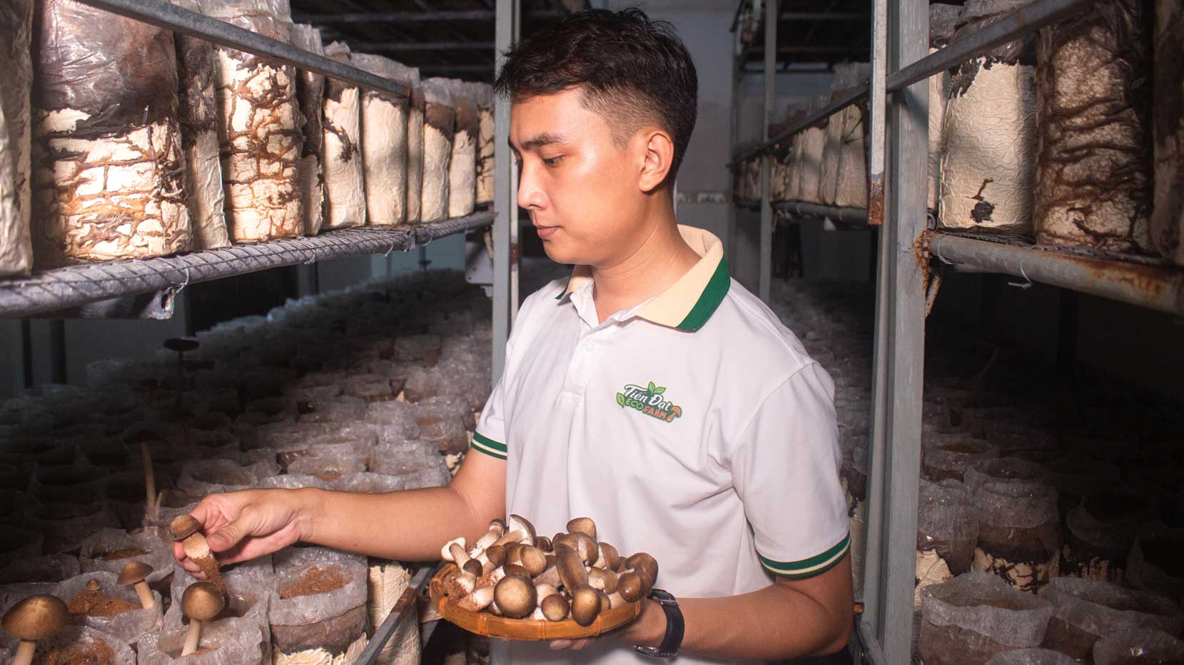 Anh Dat khoi nghiep trong nam moi den “thong minh” trong nha . Anh: My Ly