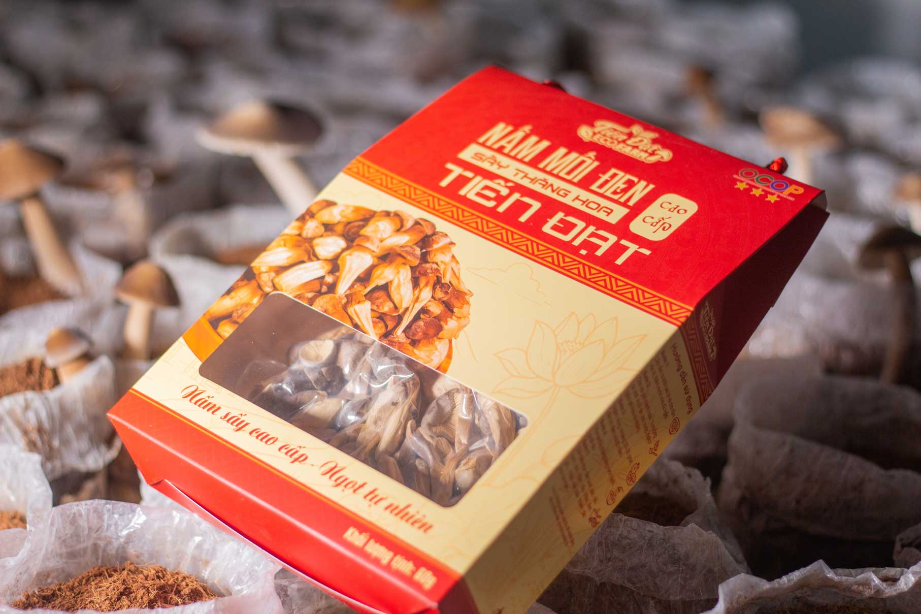 Nam say thang hoa duoc hut chan khong va dong bao bi dep mat khi ban ra thi truong. Anh: My Ly