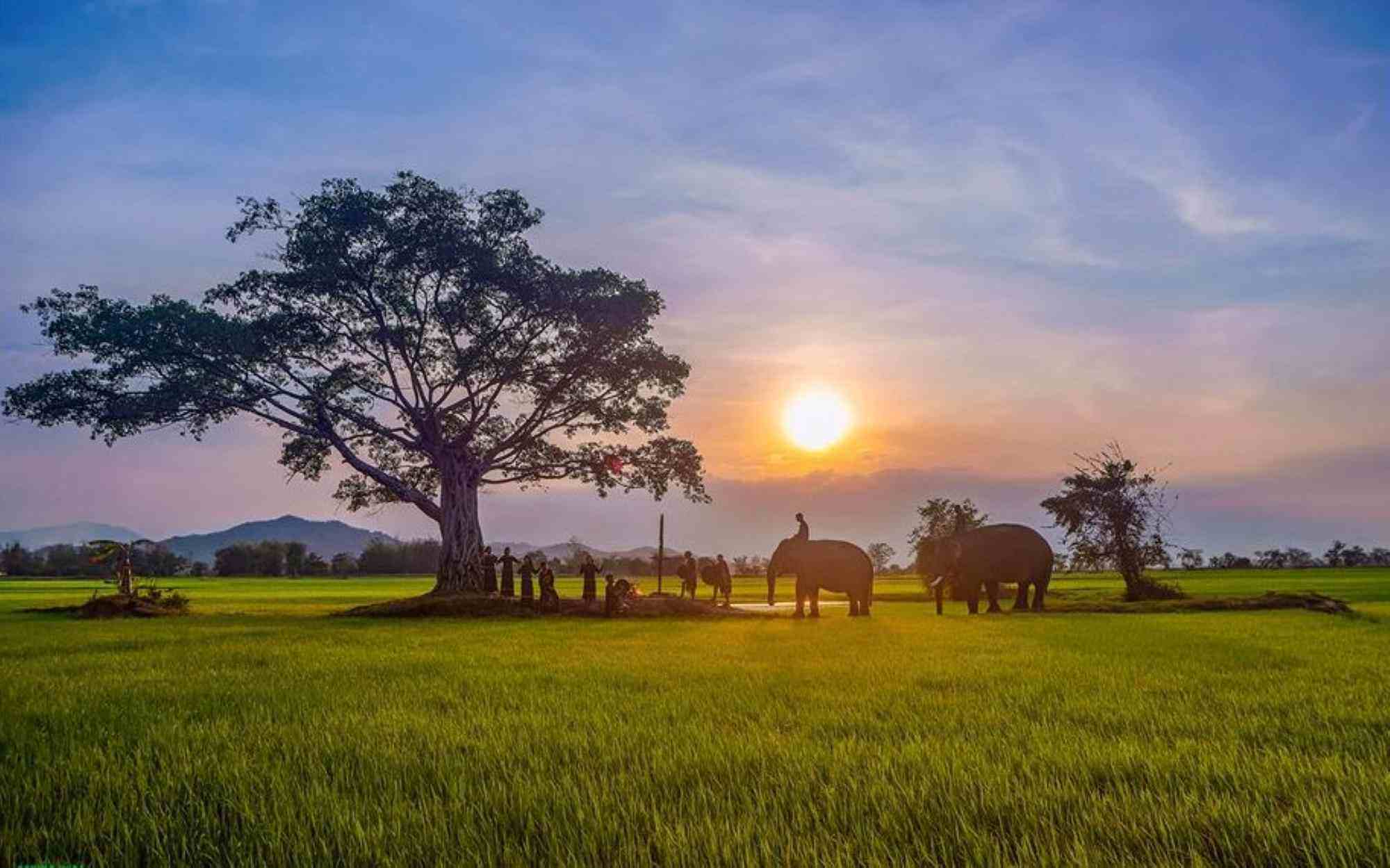 Nhieu vung nong thon o Tay Nguyen tro thanh dia chi hap dan du khach thap phuong. Anh: Nguyen Khoa