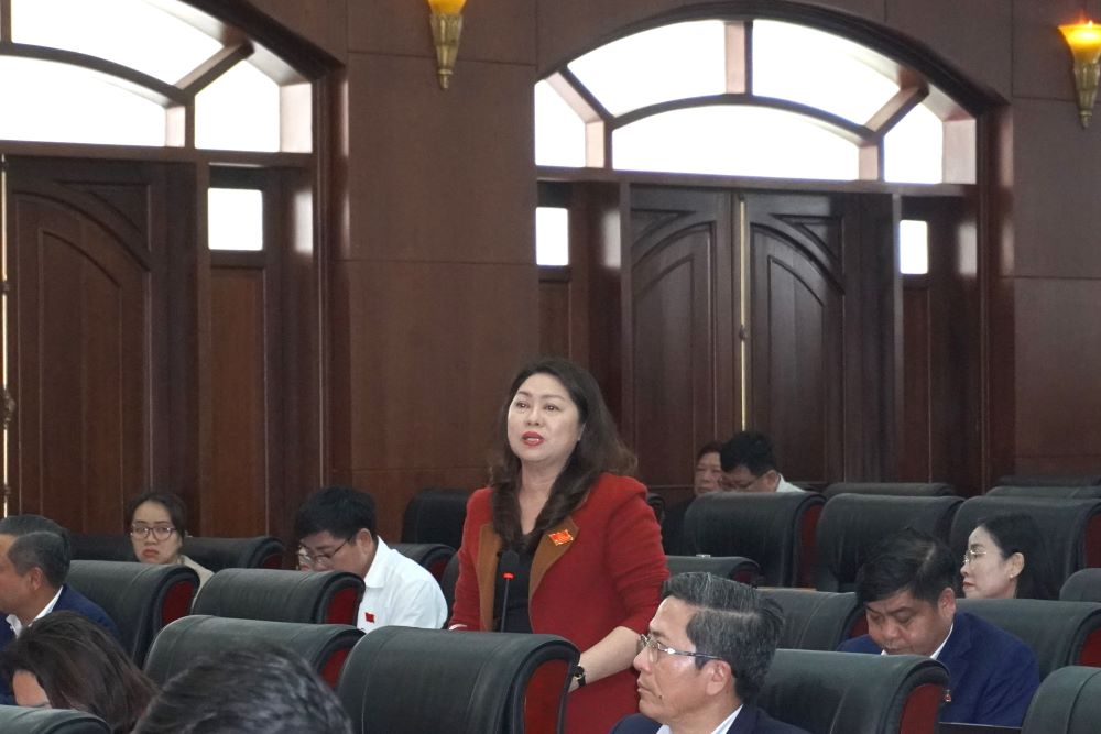 Dai bieu HDND TP Da Nang Nguyen Thi Thu Lan neu cac y kien ve xu ly tru so doi du sau sap nhap. Anh: Tran Thi