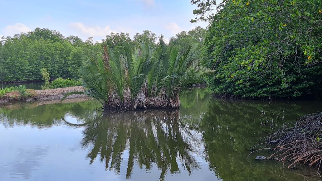 Dat Mui people have handed over 100% of the site to the construction unit. Photo: Nhat Ho
