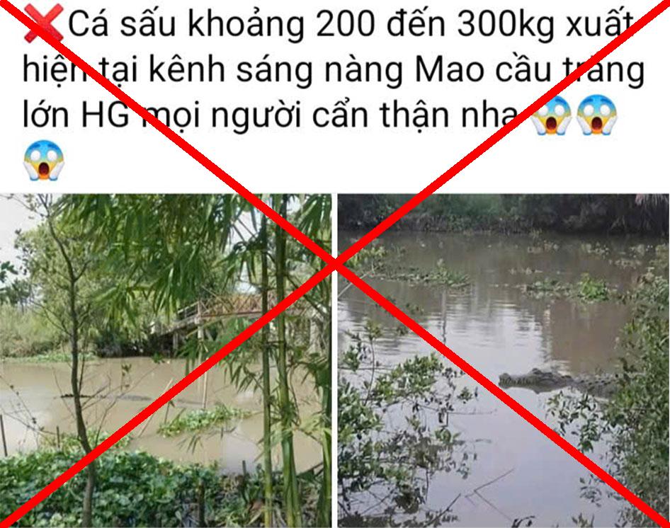 계정 소유자가 사람들에게 경고하는 데 사용한 악어 사진은 나중에 낭마우 지역과 관련이 없는 것으로 확인되었습니다. 사진: 제공 단위