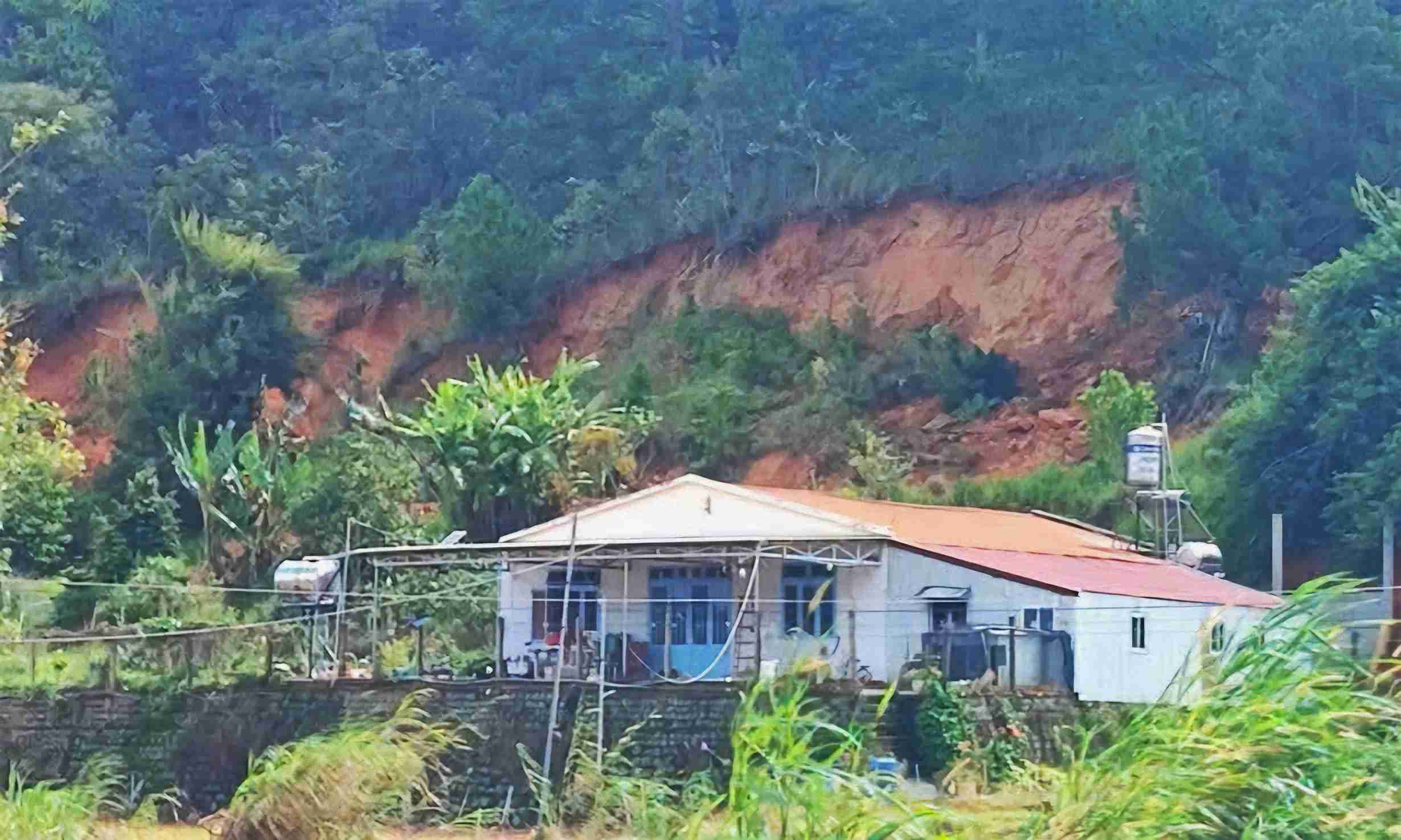 Un glissement de terrain sur une colline de pins de 35 hectares dans la commune de Hiep Thanh (Lam Dong) a forcé le déplacement de nombreuses familles. Photo de : Than Hy