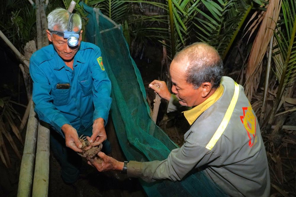 Nguoi dan thu hoach ba khia duoi tan rung. Anh: Nguyen Anh