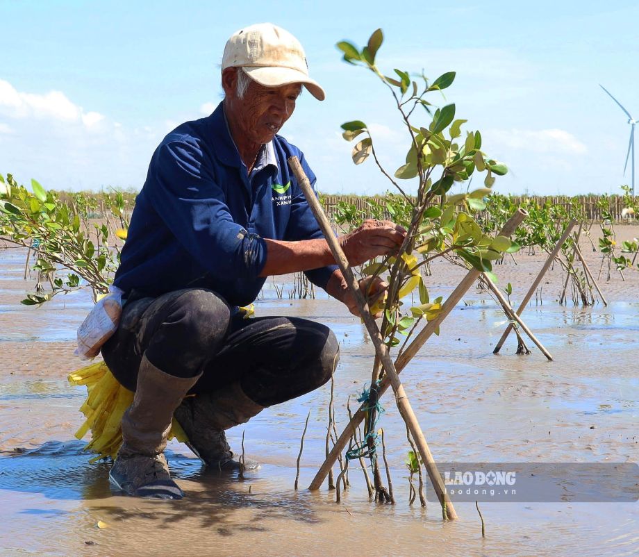 Ong Son Tup gan bo voi cong viec trong rung da hon 20 nam. Anh: Phuong Anh