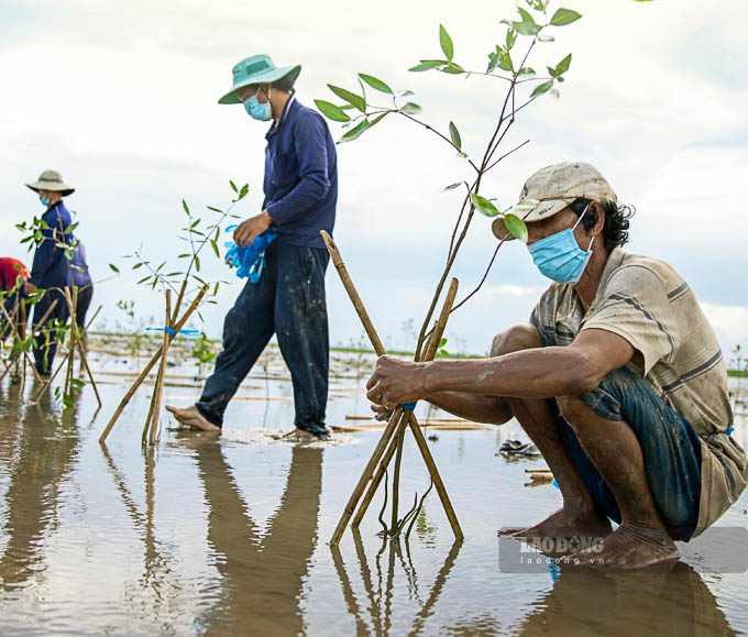 Nguoi dan trong rung ven bien Vinh Chau. Anh: Phuong Anh