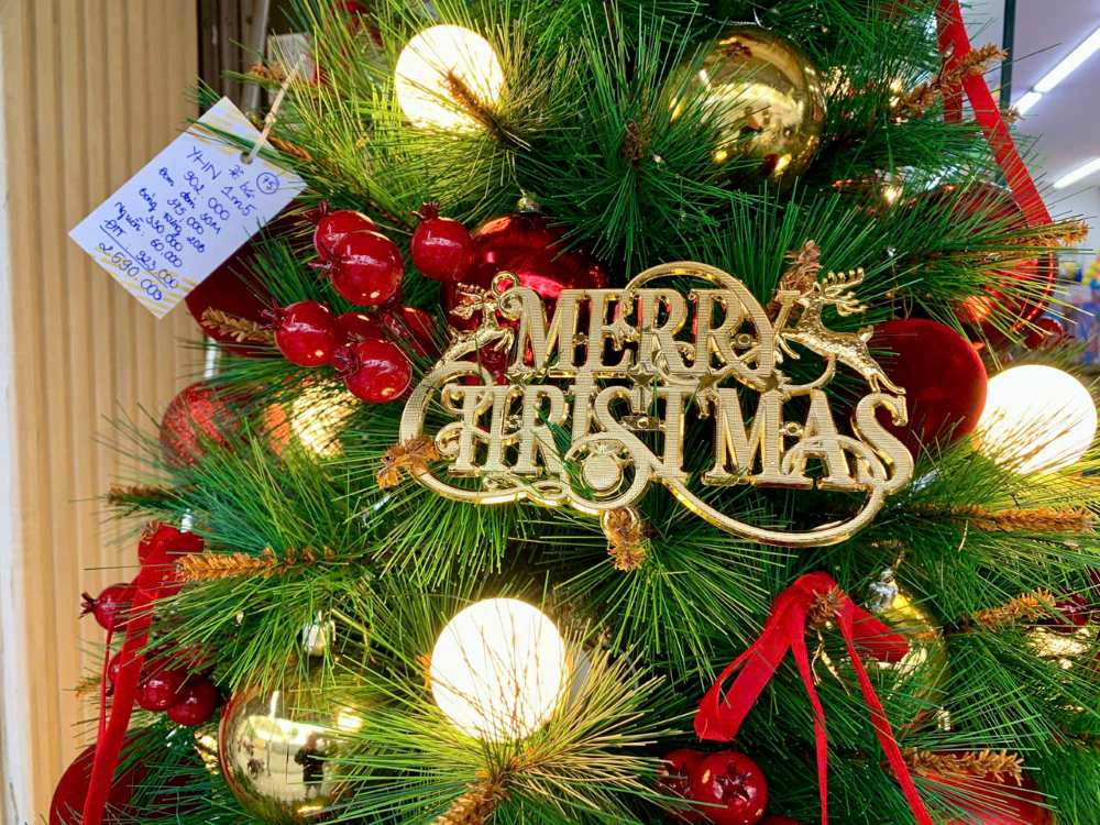 Một số loại cây thông trang trí cao cấp có giá hơn 2 triệu đồng. Ảnh: Thanh Huyền