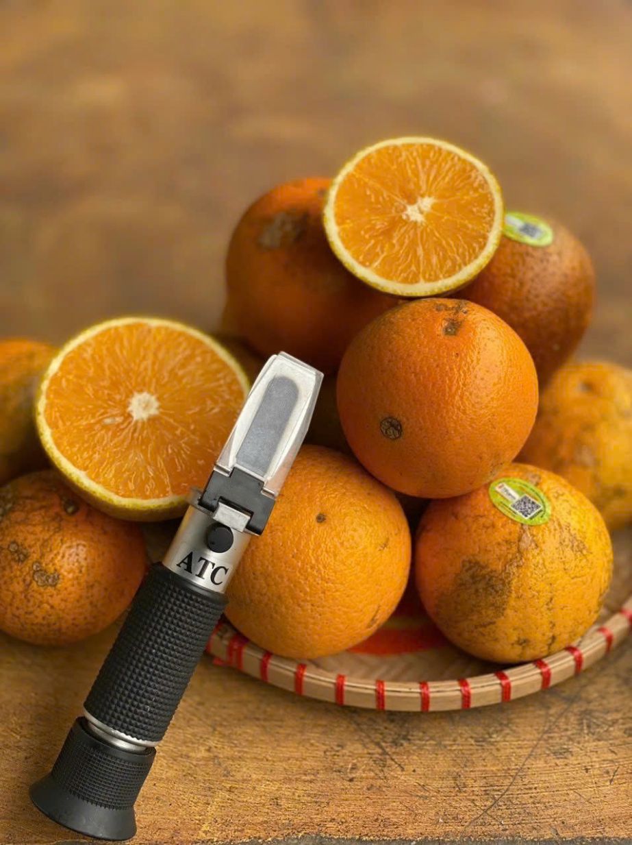 Cam long vang o Cao Phong co vi ngot dam da xen chut chua thanh dac trung. Huong tinh dau tu vo cam thom nong.