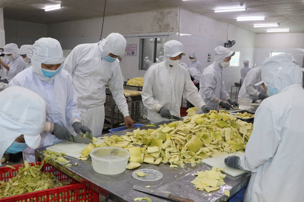 The Trade Union of Yamazaki Vietnam Company responded well to the emulation movement. Photo: Thanh Hung