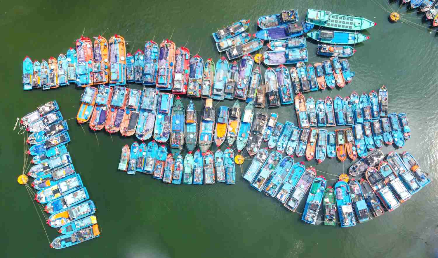 An thuyen Tho Quang, Da Nang la chon binh yen tru tranh bao, ban hai san cua ngu dan mien Trung. Anh: Nguyen Trinh