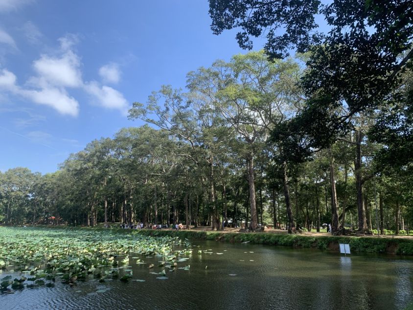 The sacred Om pond is surrounded by ancient oil trees. Photo: Ky Lam