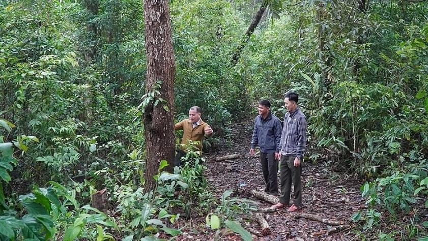 To cong dong bao ve rung thon Lang Ren, xa Minh Long phoi hop voi Tram quan ly, bao ve rung khu vuc xa Minh Long tuan tra, bao ve dien tich rung duoc giao, khoan. Anh: Vien Nguyen