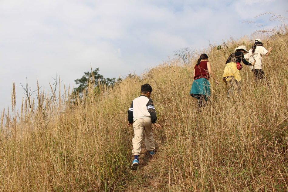 គ្រួសារជាច្រើននាំកូនតូចៗរបស់ពួកគេឡើងភ្នំថាញ់ម៉ៃដើម្បីទទួលបានបទពិសោធន៍ និងដើម្បីបង្កើនសុខភាពរាងកាយរបស់ពួកគេ។ រូបថត៖ ឡេ ទ្វៀន