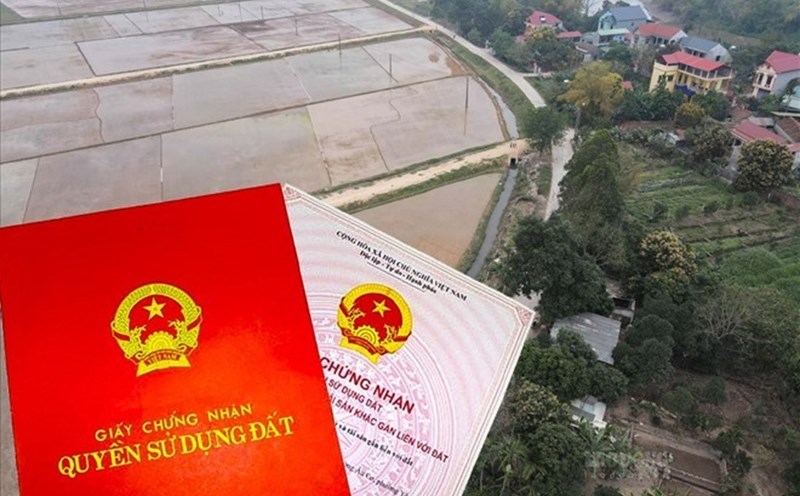 Land plot identification code and VNeID help people complete procedures anywhere