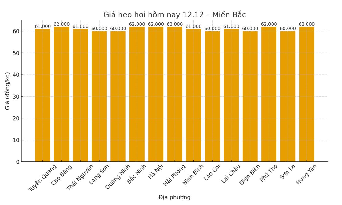 Gia heo hoi hom nay 12.12 tai khu vuc mien Bac. Do hoa: Thuy Linh