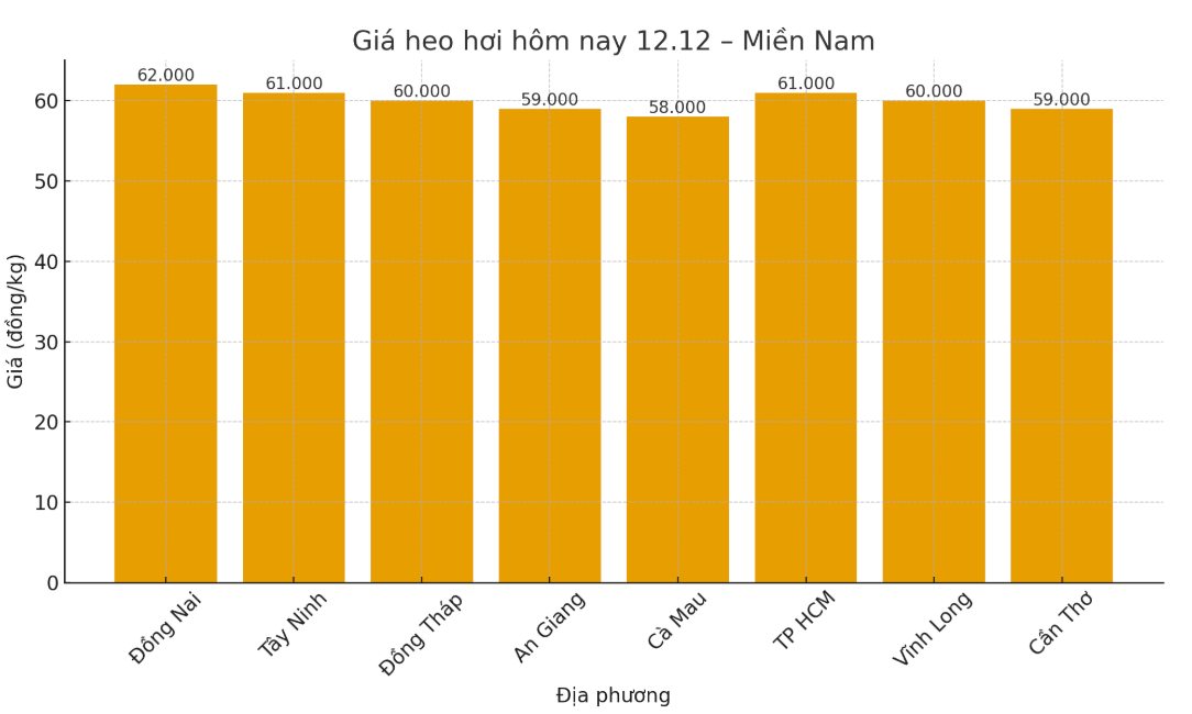 Gia heo hoi hom nay 12.12 tai khu vuc mien Nam. Do hoa: Thuy Linh