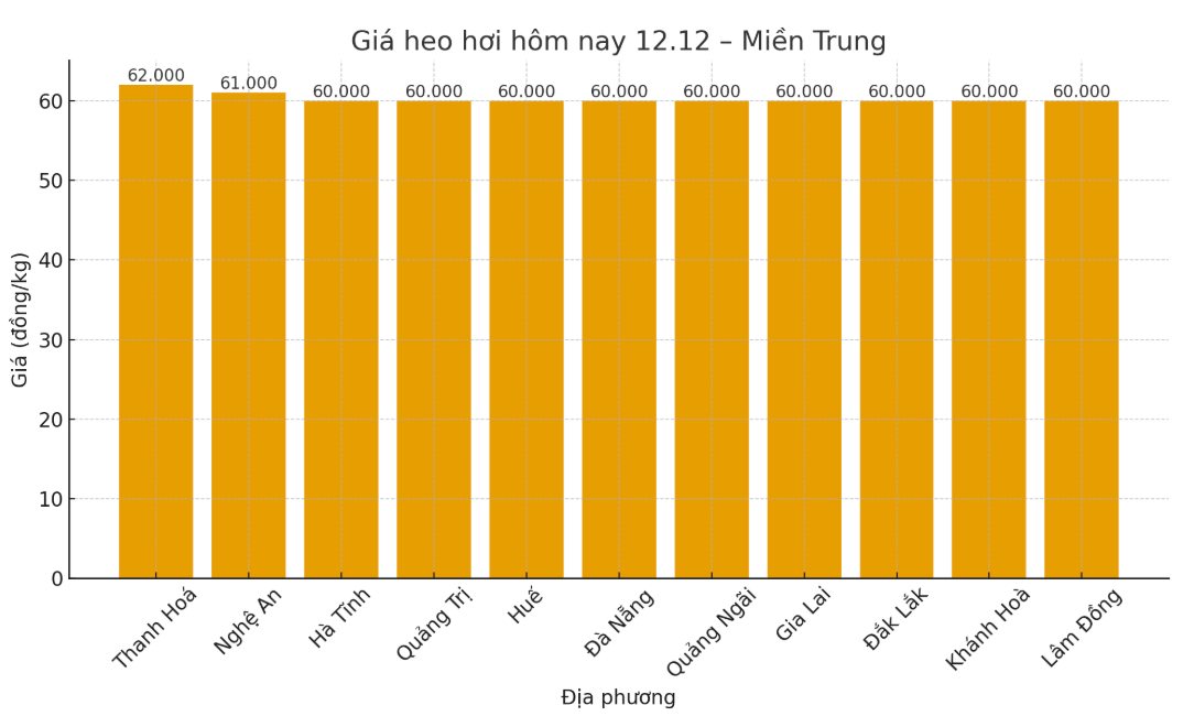 Gia heo hoi hom nay 12.12 tai khu vuc mien Trung. Do hoa: Thuy Linh