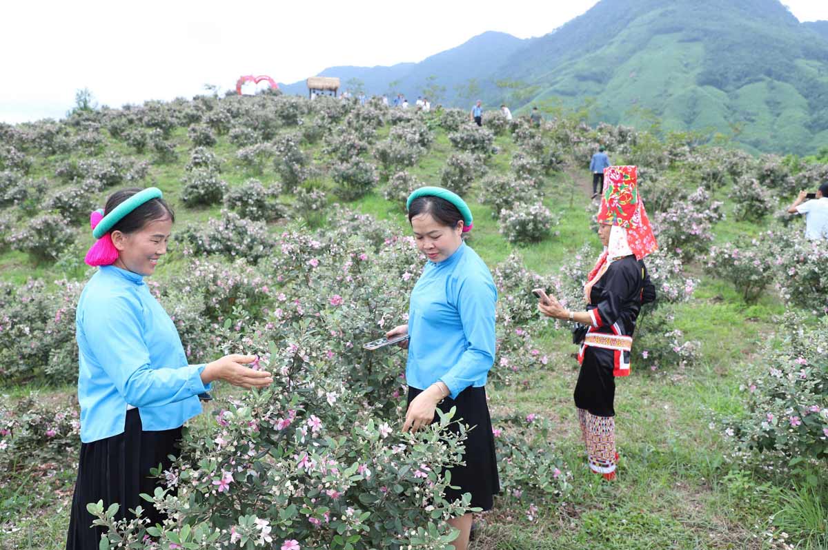 Trai nghiem ngon nui Panai, Ma Thau Son, xa Hai Son, tinh Quang Ninh. Anh: Vi Thu