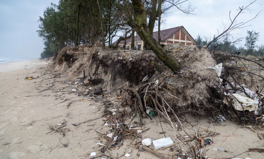 Rung duong chan song mong manh truoc nhung con song bien. Anh: Hung Tho