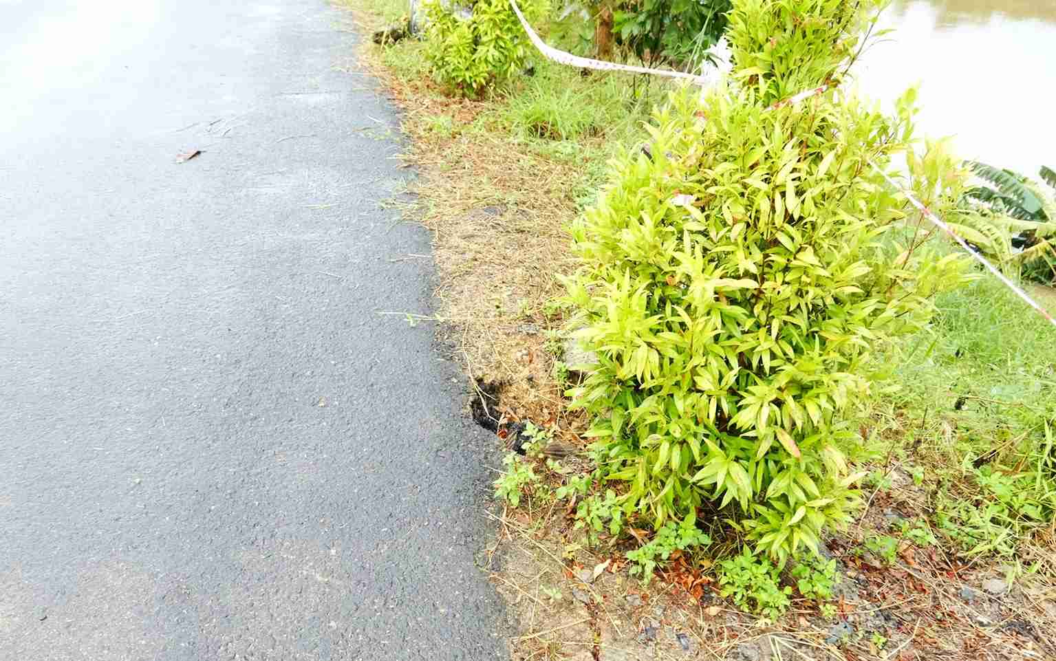 Xoi lo ap sat khien duong dan sinh xuat hien vet nut chay dai. Anh: H.S