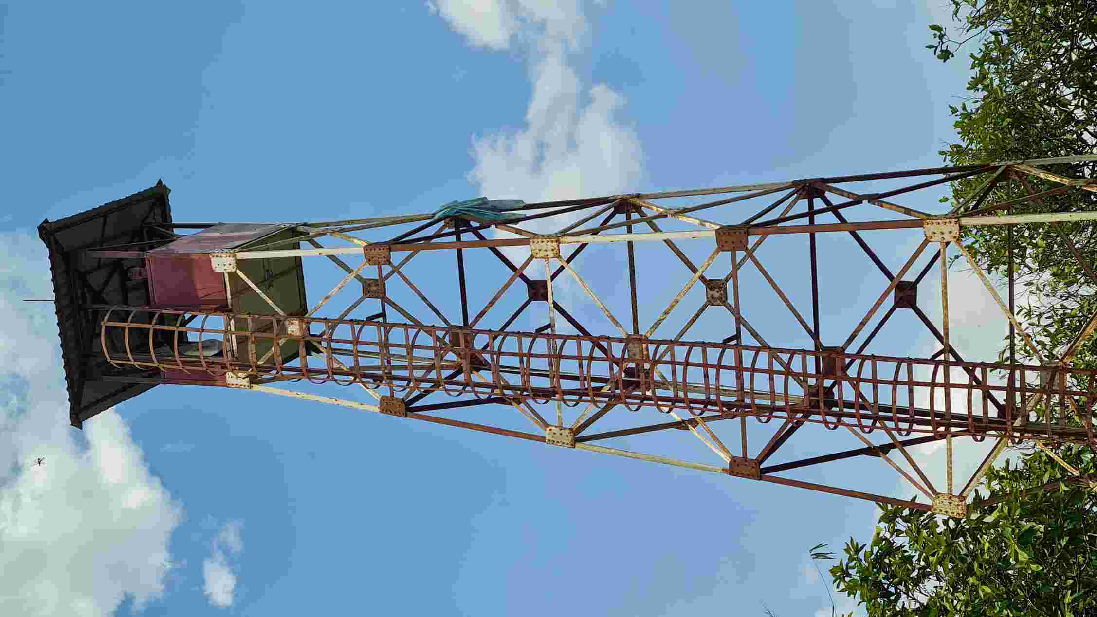 Khoi phuc cac choi canh lua truoc khi mua mua ket thuc. Anh: Nhat Ho