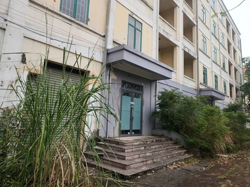 Co va cay dai moc vao tan cua cua toa nha. Anh: Minh Hanh