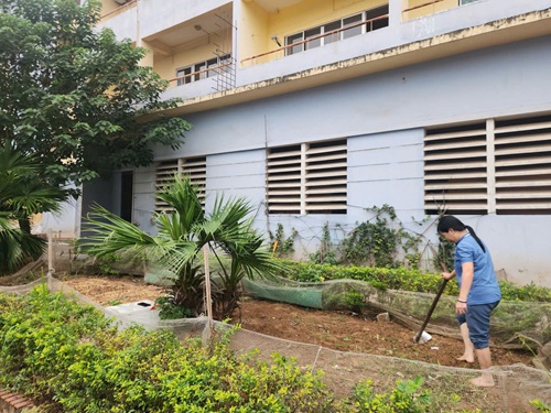 Vuon hoa co moc nguoi dan tiec cua tan dung lam noi trong rau. Anh: Minh Hanh