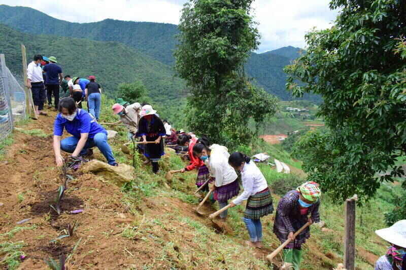 Phu nu ban Chom Khau, xa Ngoc Chien trong hoa, cay canh tao canh quan xanh, sach, dep. Anh: Truong Son