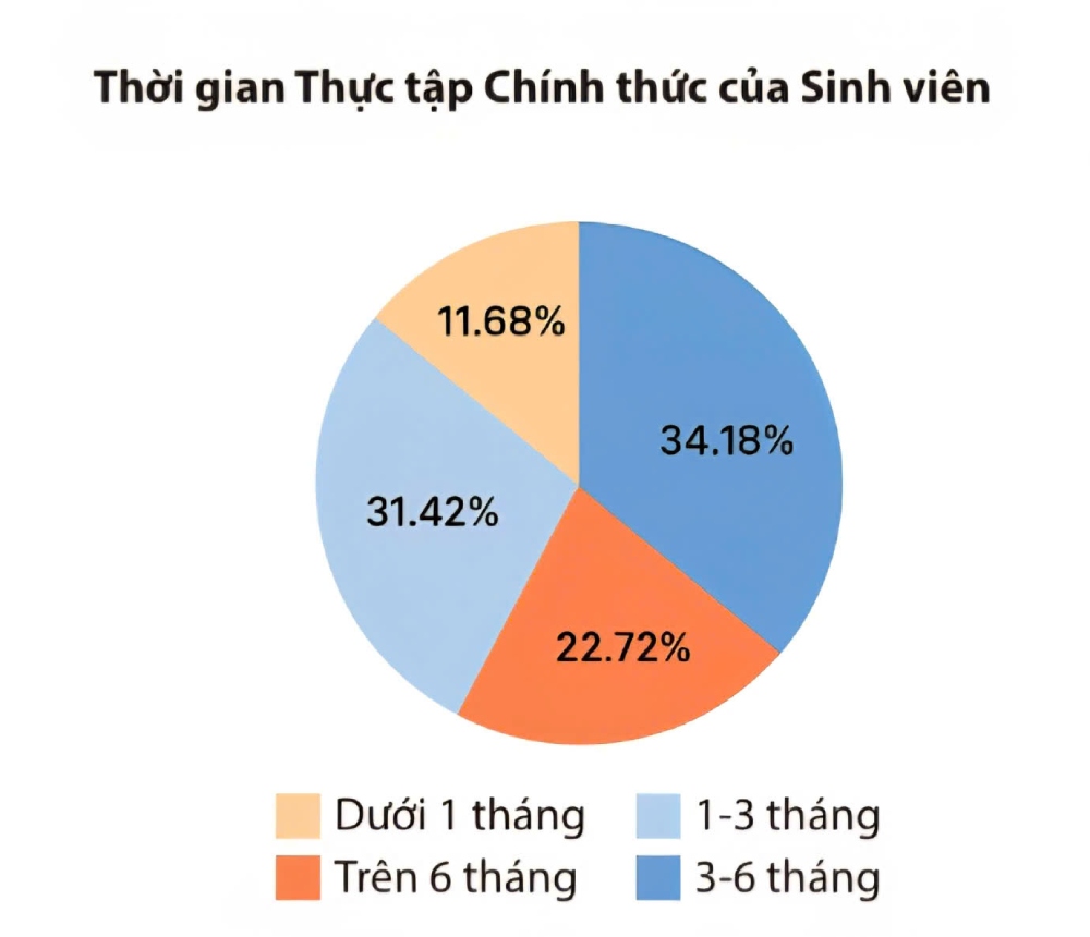 Chart of students' internship time. Due to these limitations, many young students and workers entering the labor market face many difficulties. Photo: Quynh Chi