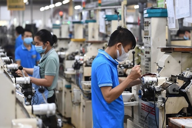 Workers who do special jobs and stand for long periods of time should supplement protein to avoid muscle fatigue. Photo: Trade Union