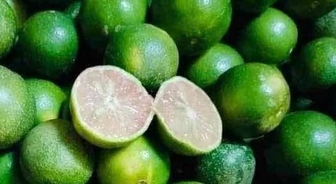 Lemon juice combined with wrong foods can have a long-term impact on health. Photo: Kieu Vu