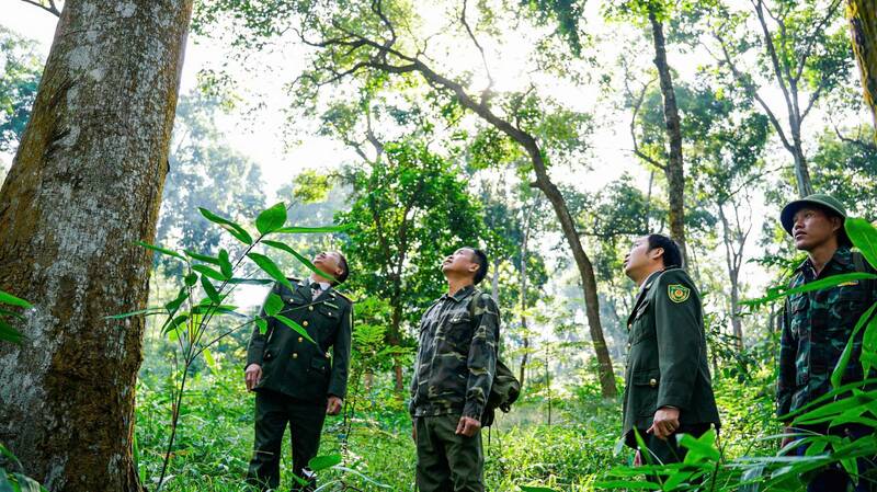 Hat kiem lam khu vuc mot cung to bao ve rung di tuan tra. Anh: Viet Bac