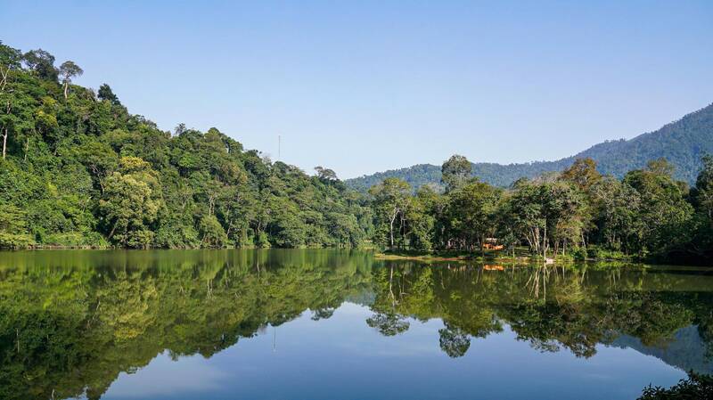 Nhung canh rung o Tan Trao van giu duoc su binh yen, xanh tuoi. Anh: Viet Bac