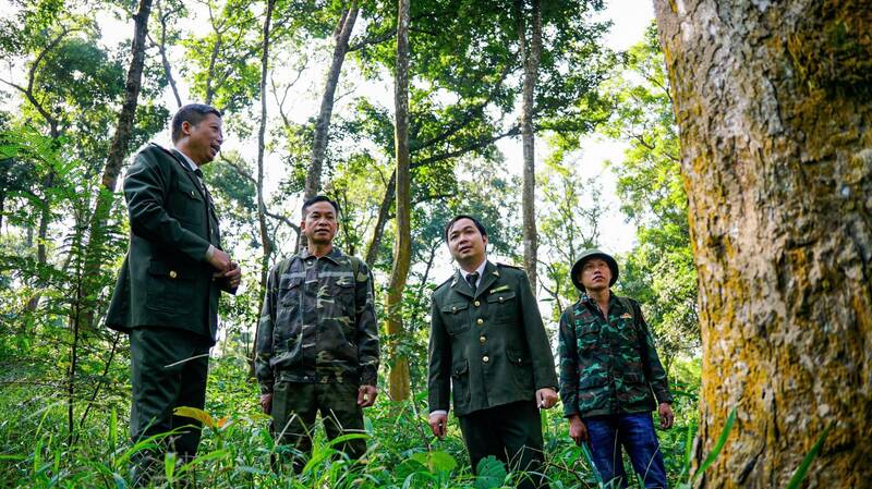 Tan Trao forest protection shields. Photo: Viet Bac